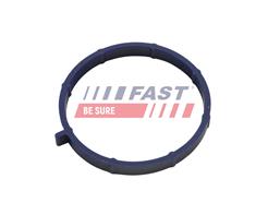 FAST FT49467