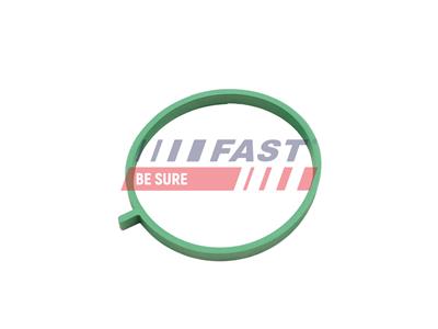 FAST FT49472 EAN: 5904157875045.