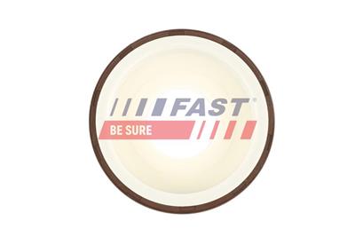 FAST FT49817 EAN: 5901797091132.