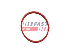 FAST FT49861