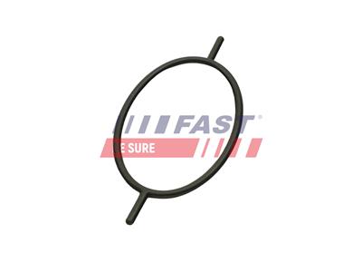 FAST FT49923 EAN: 5904157891618.