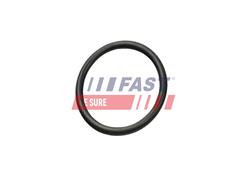 FAST FT49927