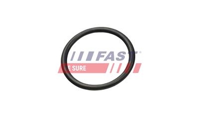 FAST FT49927 EAN: 5904157880698.
