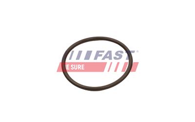 FAST FT49933 EAN: 5904157812521.