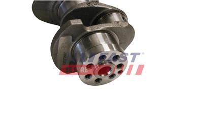 FAST FT51702 EAN: 5904157895043.