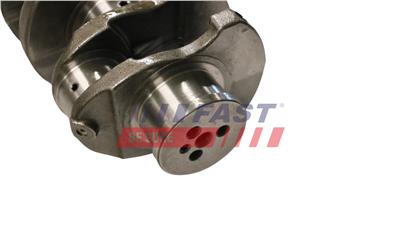 FAST FT51707 EAN: 5904157853678.