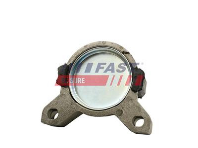 FAST FT52217 EAN: 5904157875960.