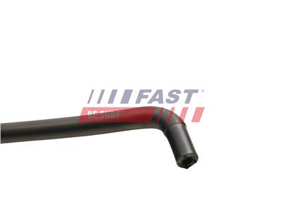 FAST FT61556 EAN: 5904157843464.
