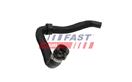 FAST FT61883