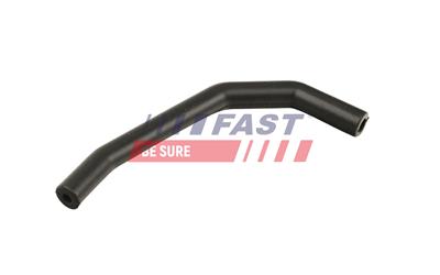 FAST FT63810 EAN: 5904157866685.