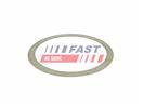 FAST FT84501 - Těsnění na výfukovou trubku