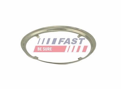 FAST FT84817 EAN: 5904157898211.