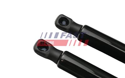 FAST FT94810K EAN: 5904157857249.