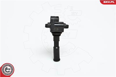 ESEN SKV 03SKV030 EAN: 5901947300299.