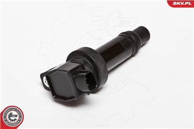 ESEN SKV 03SKV200 EAN: 5901947317938.