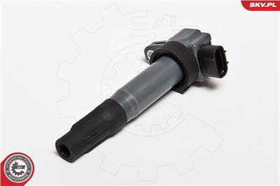 ESEN SKV 03SKV203 EAN: 5901947317969.