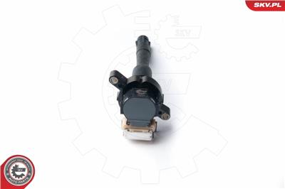 ESEN SKV 03SKV213 EAN: 5901947321331.