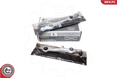 ESEN SKV 04SKV100 EAN: 5901947311301.