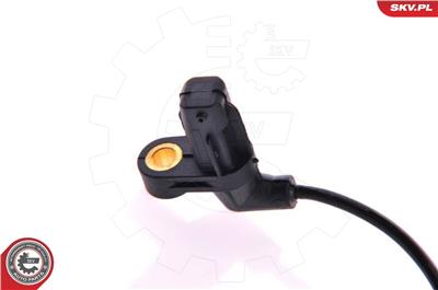 ESEN SKV 06SKV100 EAN: 5901947302903.