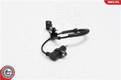 ESEN SKV 06SKV165 EAN: 5901947303184.