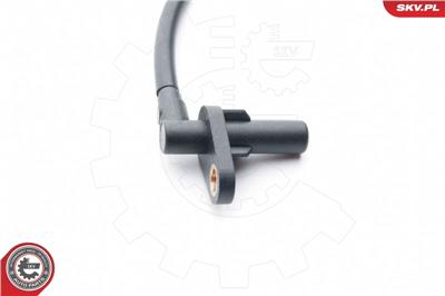 ESEN SKV 06SKV244 EAN: 5901947322598.