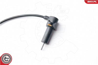 ESEN SKV 06SKV256 EAN: 5901947322710.