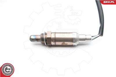 ESEN SKV 09SKV676