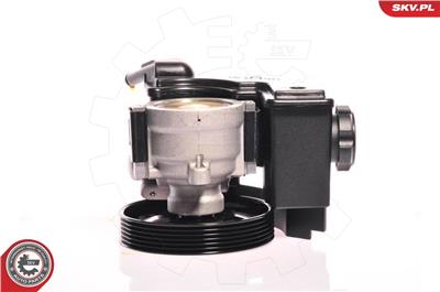 ESEN SKV 10SKV153 EAN: 5901947308257.