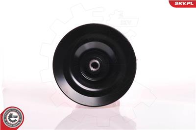 ESEN SKV 10SKV169 EAN: 5901947308141.