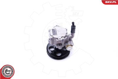 ESEN SKV 10SKV251 EAN: 5901947373194.