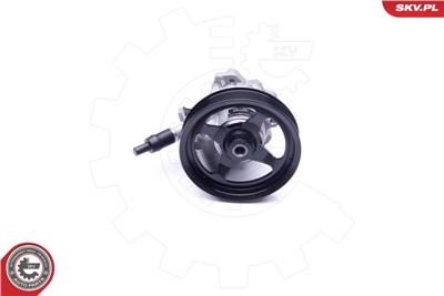 ESEN SKV 10SKV266 EAN: 5901947373347.