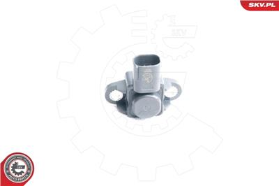 ESEN SKV 17SKV138 EAN: 5901947324820.