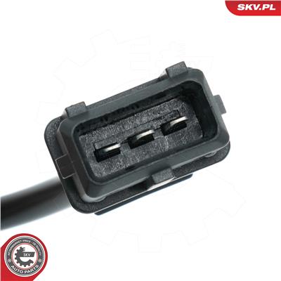 ESEN SKV 17SKV206 EAN: 5901947303481.