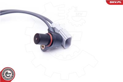 ESEN SKV 17SKV227 EAN: 5901947303689.