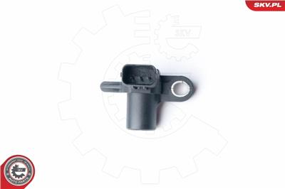 ESEN SKV 17SKV251 EAN: 5901947322994.