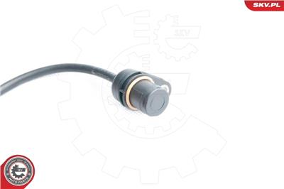 ESEN SKV 17SKV305 EAN: 5901947323533.