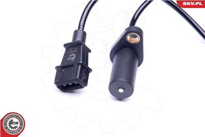 ESEN SKV 17SKV311 EAN: 5901947323595.