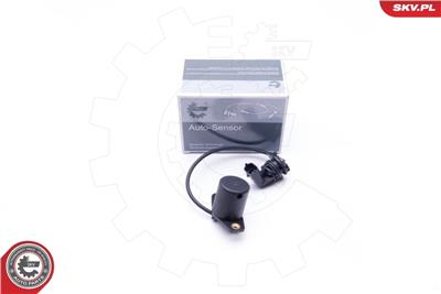 ESEN SKV 17SKV406 EAN: 5901947366363.