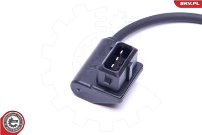 ESEN SKV 17SKV491 EAN: 5903968402563.