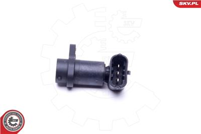 ESEN SKV 17SKV498 EAN: 5903968402631.