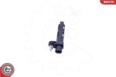 ESEN SKV 17SKV525 EAN: 5903968402907.