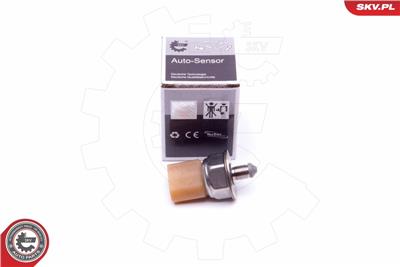 ESEN SKV 17SKV581 EAN: 5903968417369.