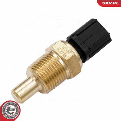 ESEN SKV 17SKV843 EAN: 5903968489045.