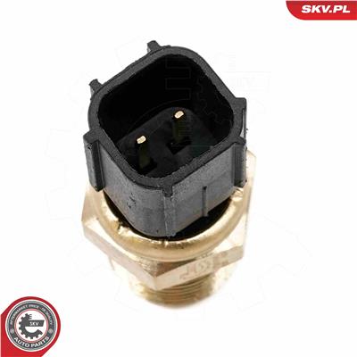 ESEN SKV 17SKV843 EAN: 5903968489045.