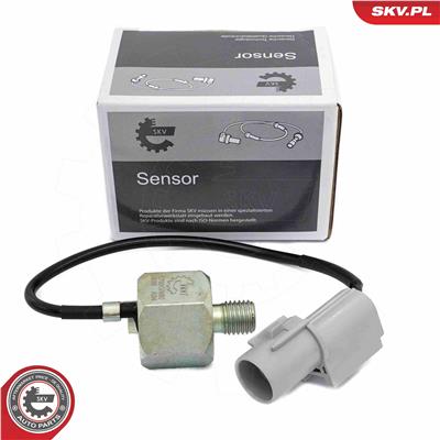 ESEN SKV 17SKV850 EAN: 5903968489106.