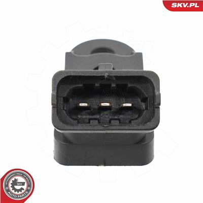 ESEN SKV 17SKV891 EAN: 5903968401832.