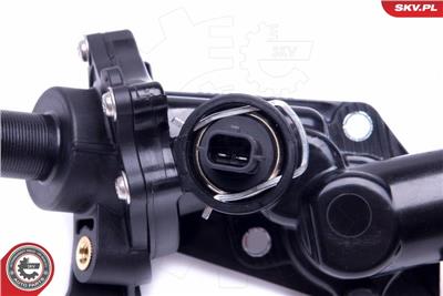 ESEN SKV 20SKV109 EAN: 5903968418618.