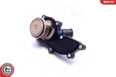 ESEN SKV 20SKV178 EAN: 5903968446192.