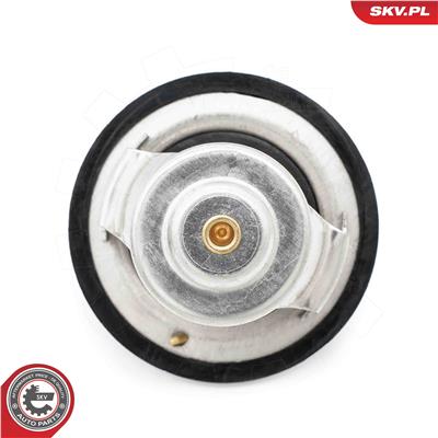 ESEN SKV 20SKV219 EAN: 5903968496708.