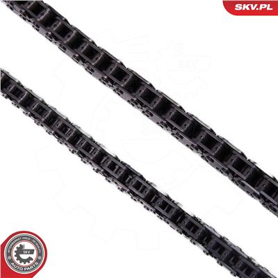 ESEN SKV 21SKV251 EAN: 5903968467715.